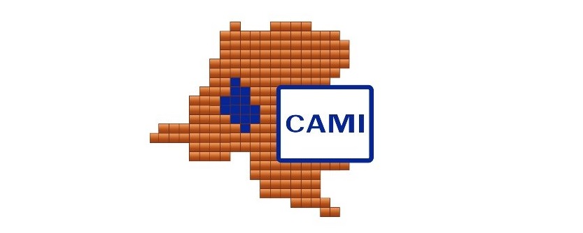 logo CAMI RDC