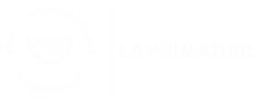 La Primature, République démocratique du Congo